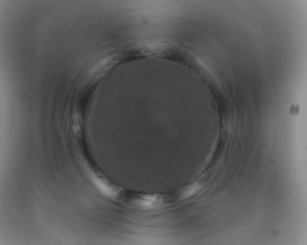 X0000091950130200709201330