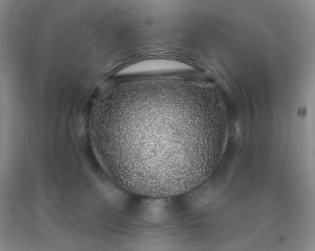 X0000091950131200709201330