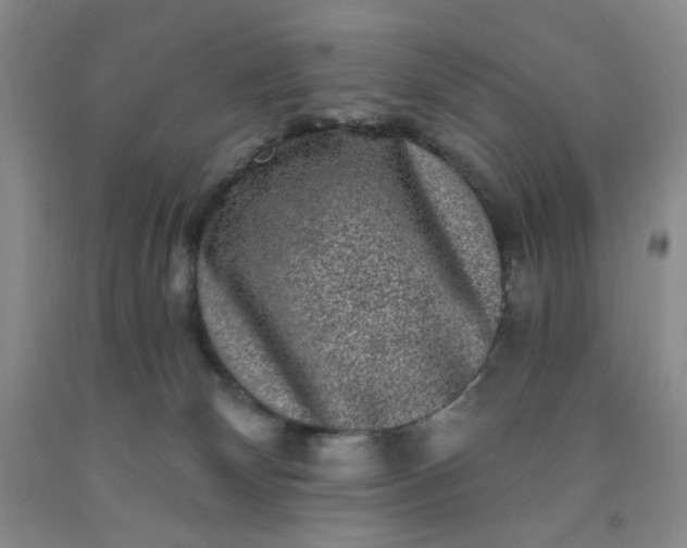 X0000091950132200709201330