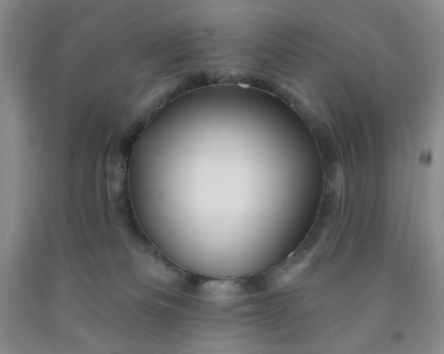 X0000091950133200709201330