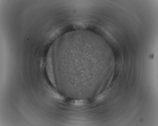 X0000091950134200709201330