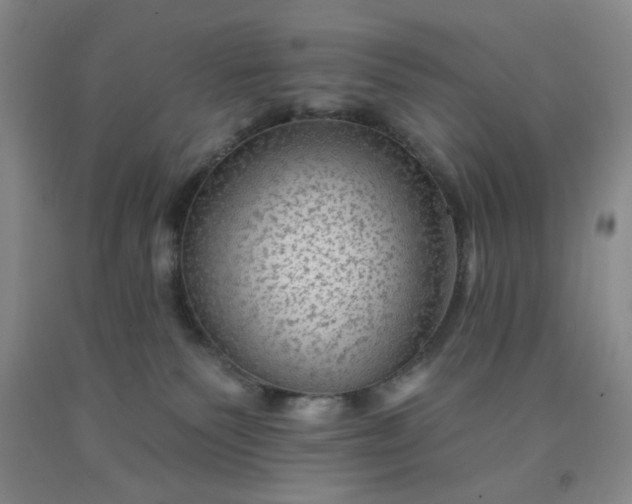 X0000091950135200709201330