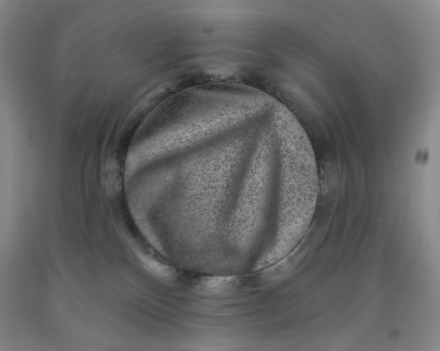 X0000091950136200709201330