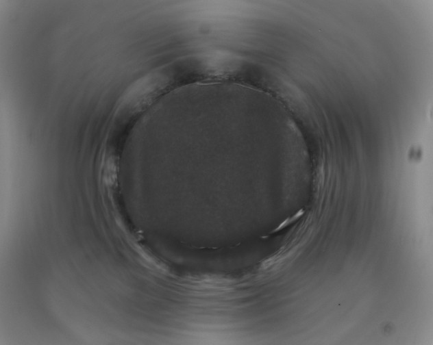 X0000091950137200709201330