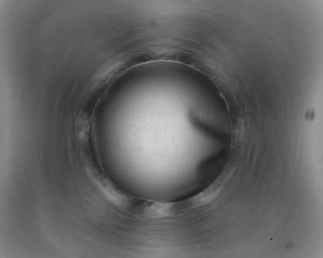 X0000091950138200709201330