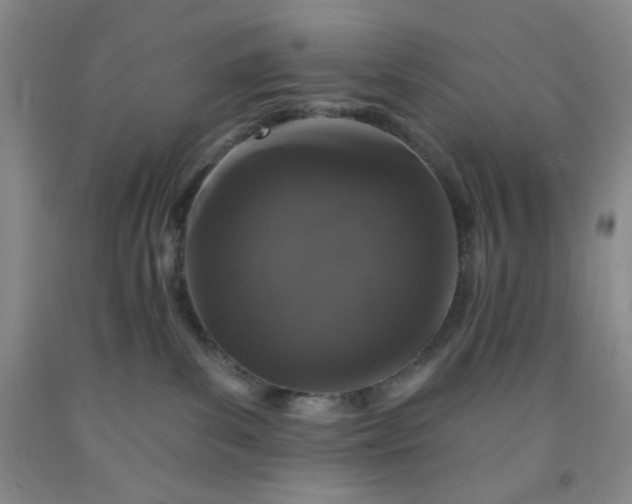 X0000091950139200709201330