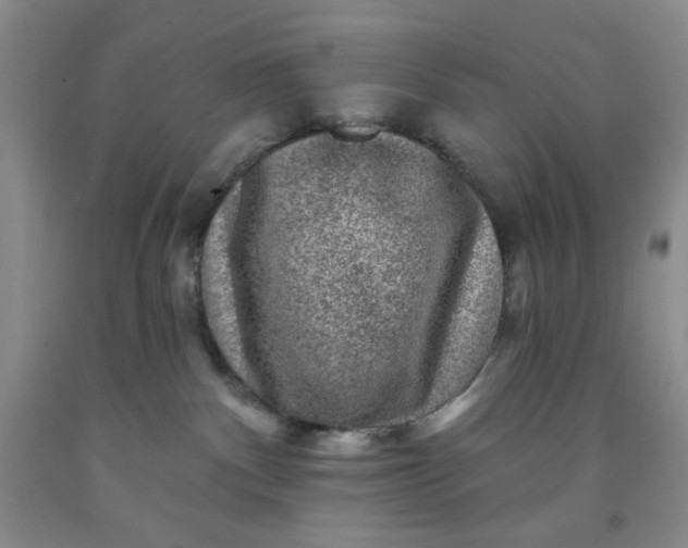 X0000091950140200709201330