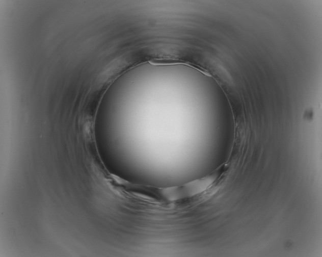 X0000091950141200709201330