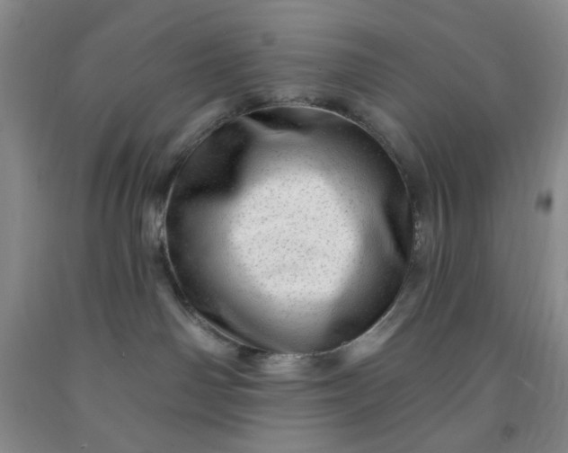 X0000091950142200709201330