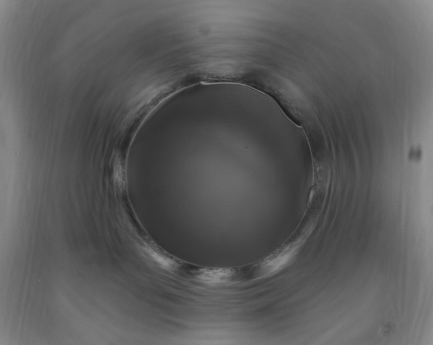 X0000091950143200709201330