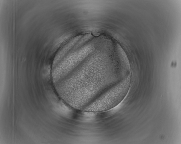 X0000091950144200709201330