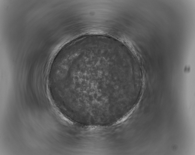 X0000091950145200709201329