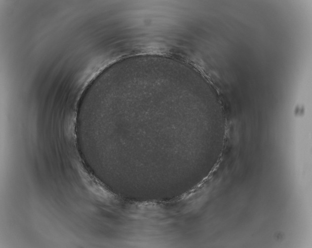 X0000091950146200709201329