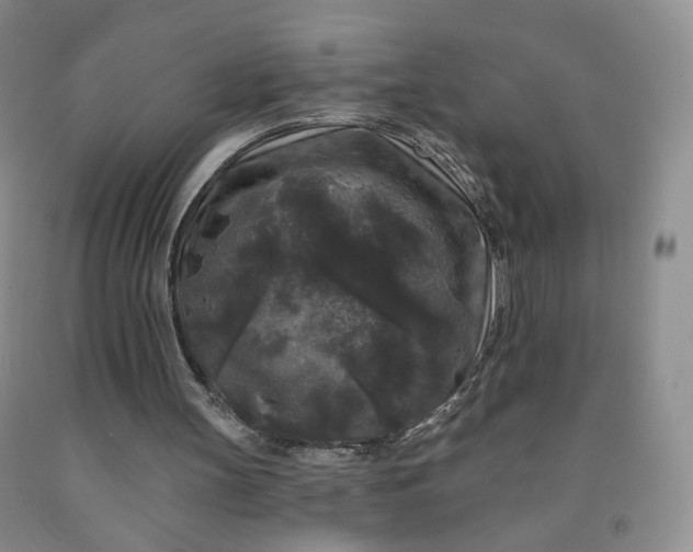 X0000091950147200709201329