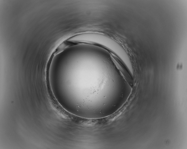 X0000091950148200709201329