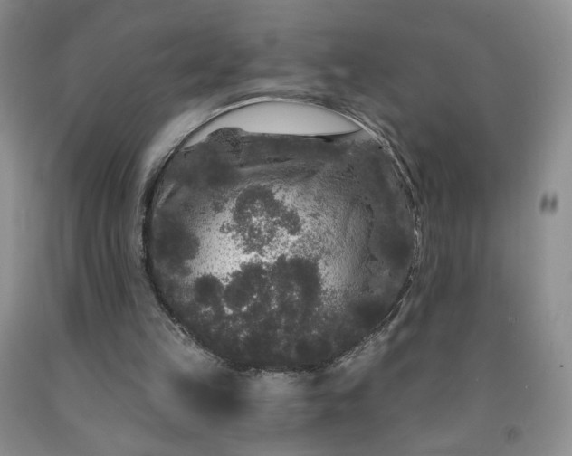 X0000091950149200709201329