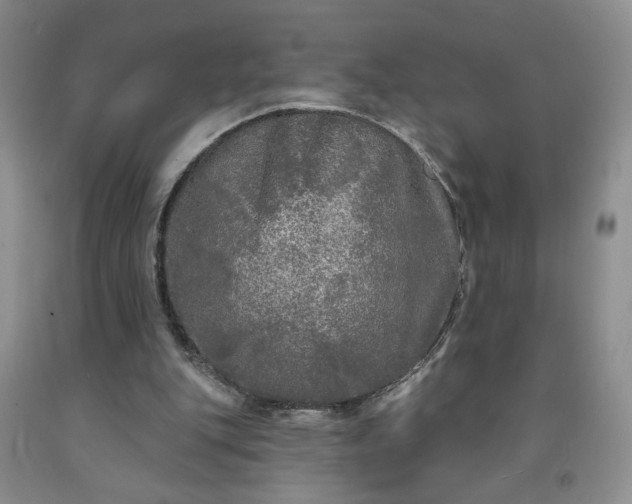 X0000091950151200709201330