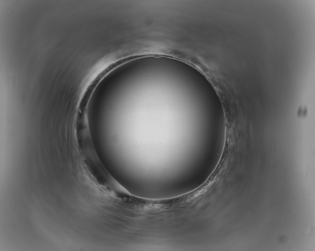 X0000091950152200709201330