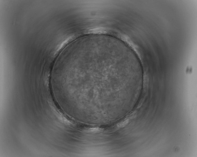 X0000091950153200709201330