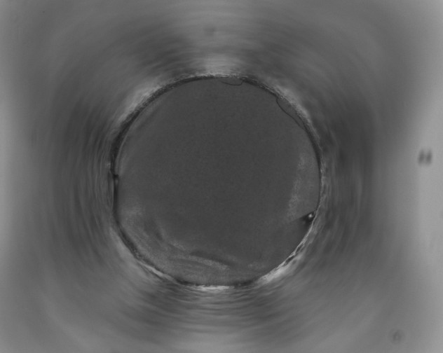 X0000091950154200709201330