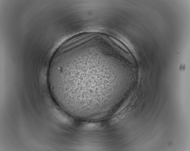 X0000091950155200709201330