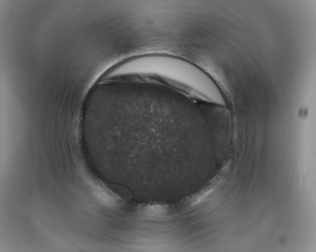 X0000091950156200709201330