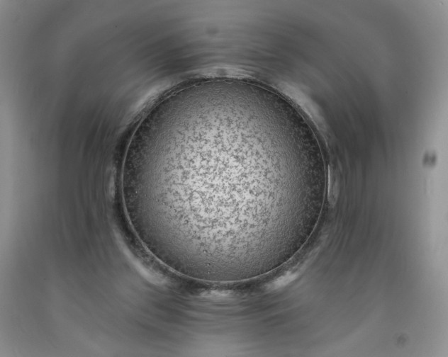 X0000091950157200709201330