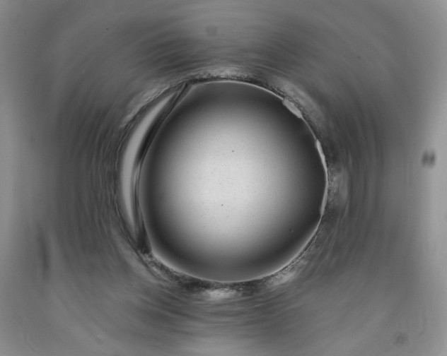 X0000091950158200709201330