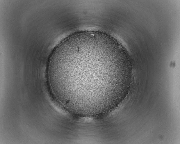 X0000091950159200709201330