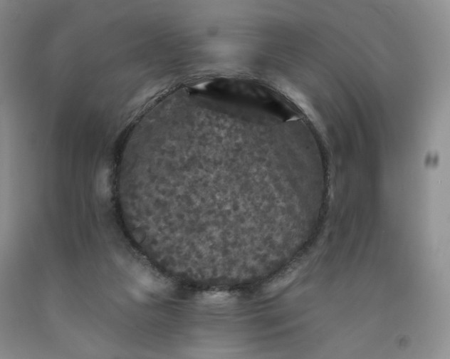 X0000091950161200709201330