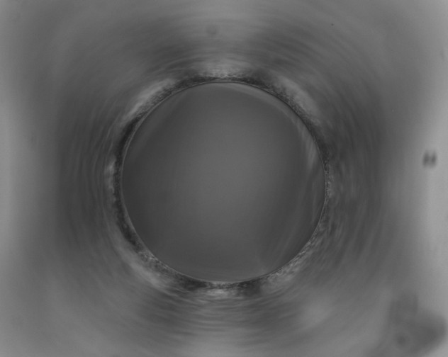 X0000091950163200709201330