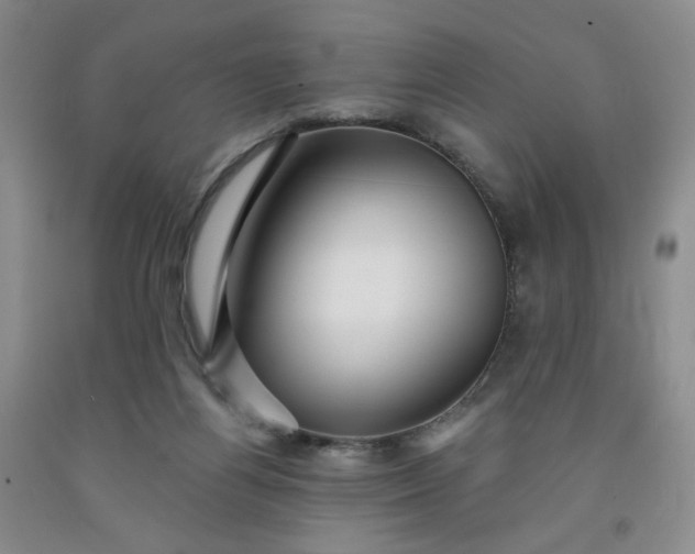 X0000091950164200709201330