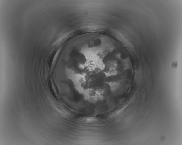 X0000091950165200709201330