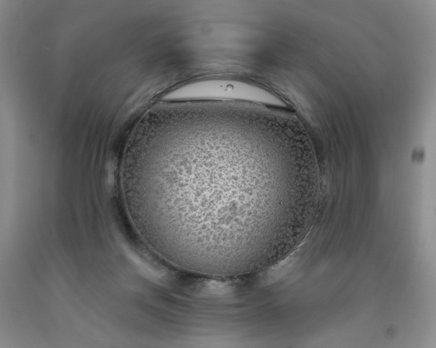 X0000091950166200709201330