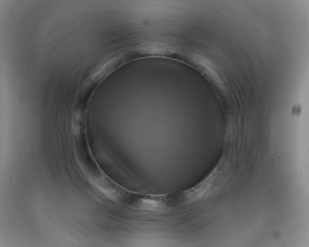 X0000091950167200709201330