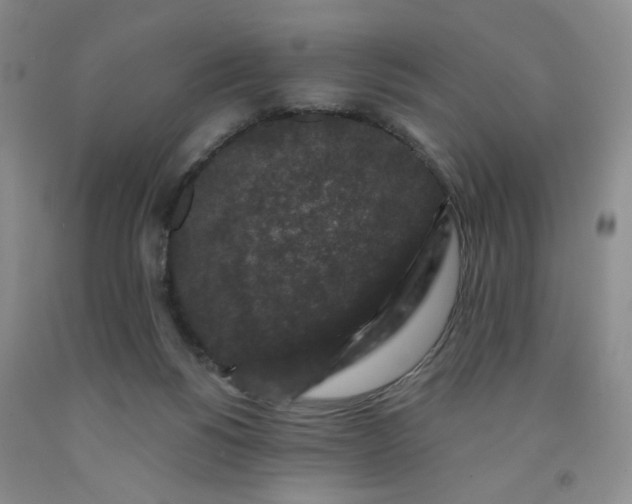 X0000091950168200709201330