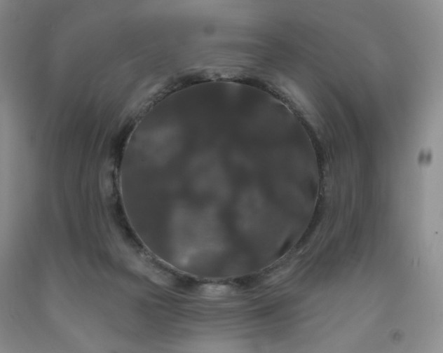 X0000091950169200709201330