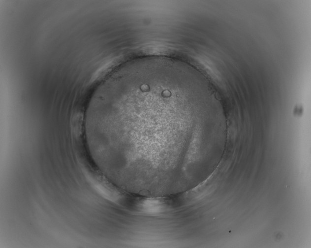 X0000091950171200709201330