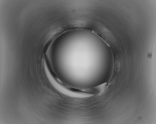 X0000091950172200709201330