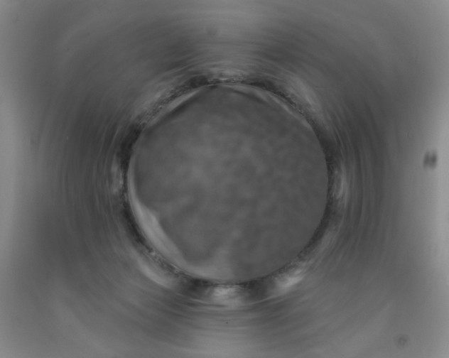 X0000091950173200709201330