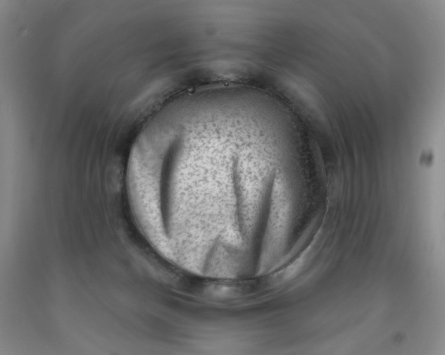 X0000091950174200709201330