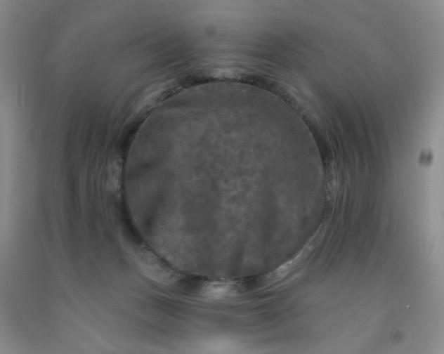 X0000091950175200709201330