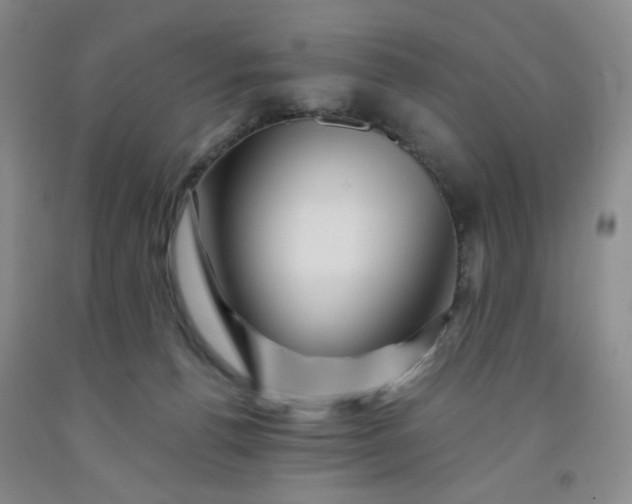 X0000091950176200709201330