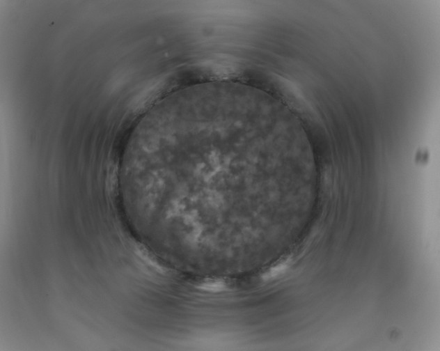 X0000091950177200709201330