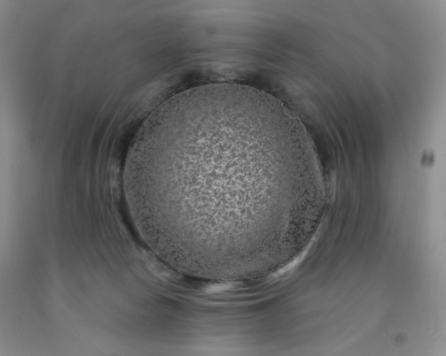 X0000091950178200709201330