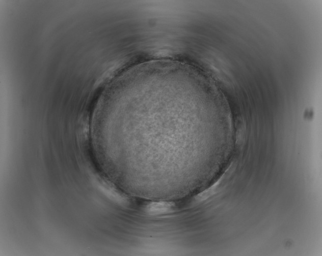 X0000091950179200709201330