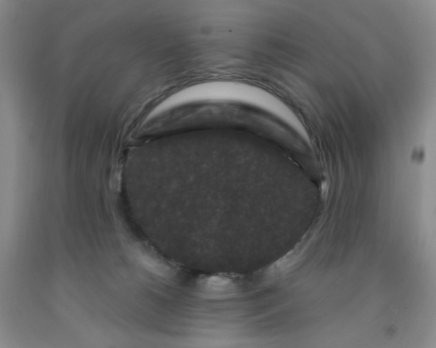 X0000091950180200709201330