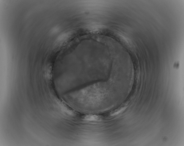 X0000091950181200709201330