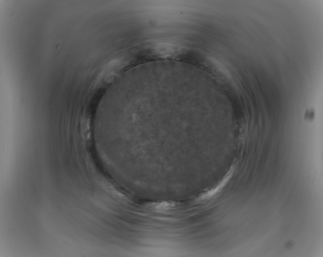 X0000091950182200709201330