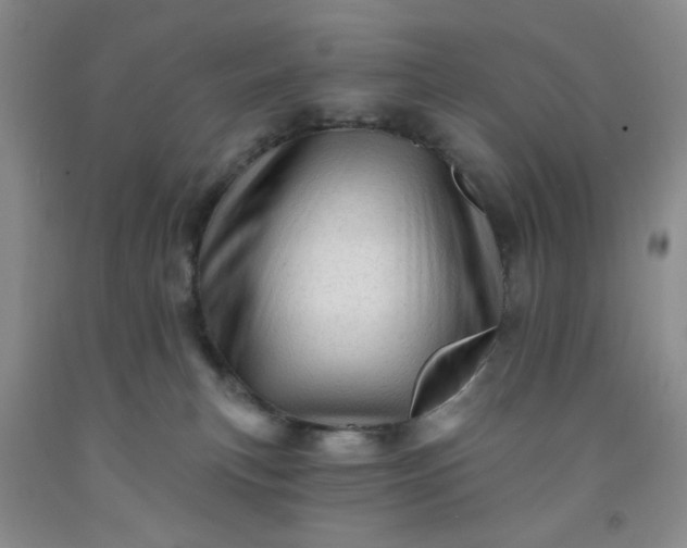 X0000091950183200709201330